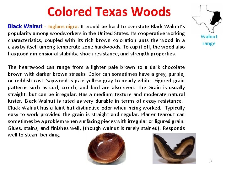 Colored Texas Woods Black Walnut - Juglans nigra: It would be hard to overstate