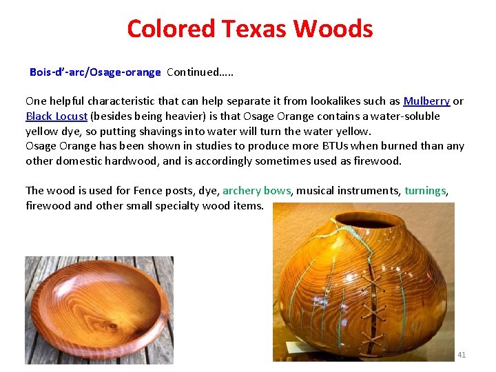 Colored Texas Woods Bois-d’-arc/Osage-orange Continued…. . One helpful characteristic that can help separate it