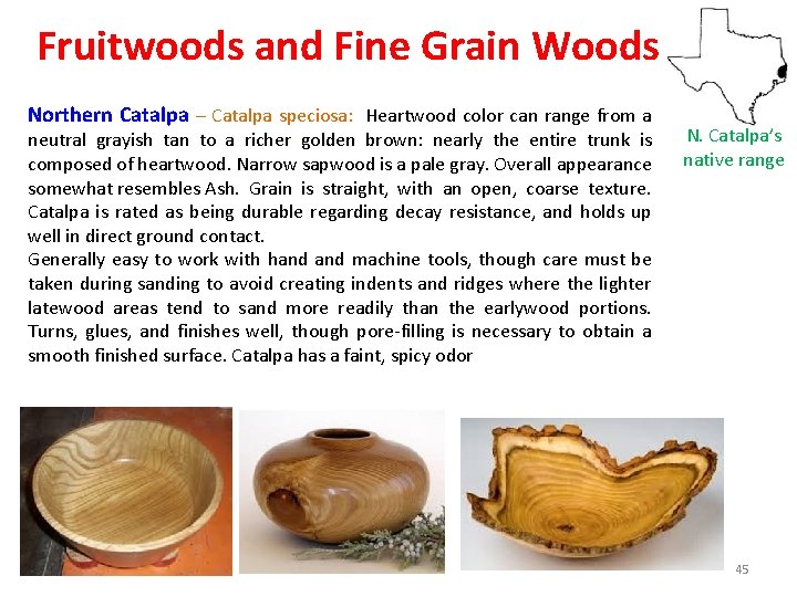 Fruitwoods and Fine Grain Woods Northern Catalpa – Catalpa speciosa: Heartwood color can range
