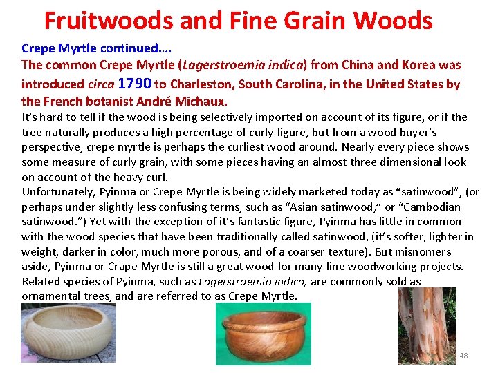 Fruitwoods and Fine Grain Woods Crepe Myrtle continued…. The common Crepe Myrtle (Lagerstroemia indica)