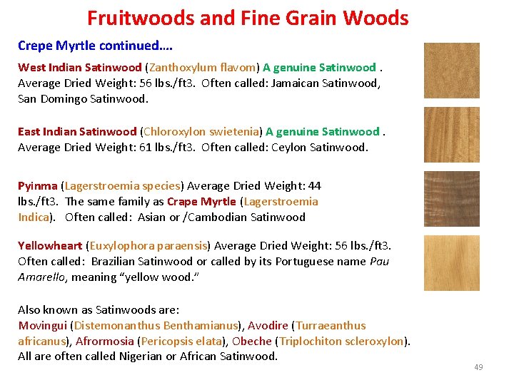 Fruitwoods and Fine Grain Woods Crepe Myrtle continued…. West Indian Satinwood (Zanthoxylum flavom) A