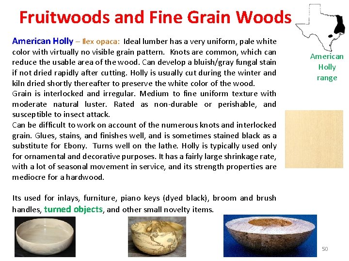 Fruitwoods and Fine Grain Woods American Holly – Ilex opaca: Ideal lumber has a