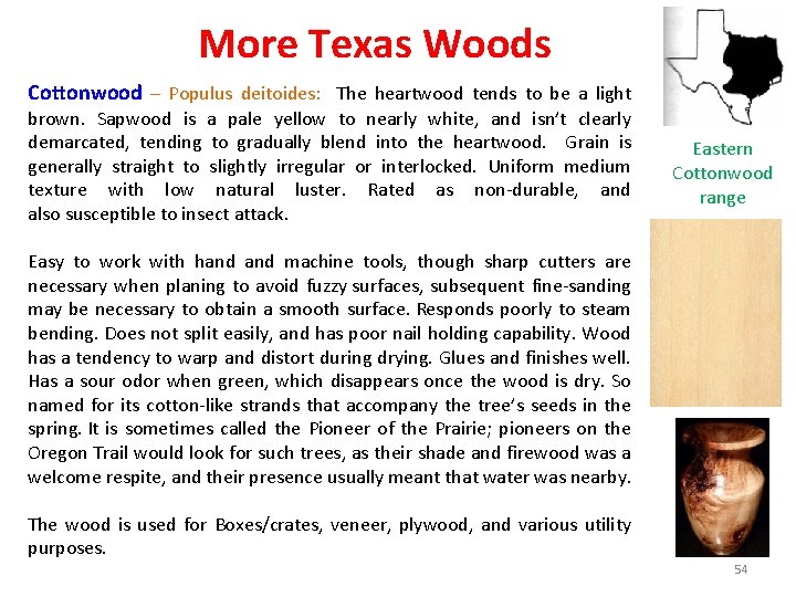 More Texas Woods Cottonwood – Populus deitoides: The heartwood tends to be a light