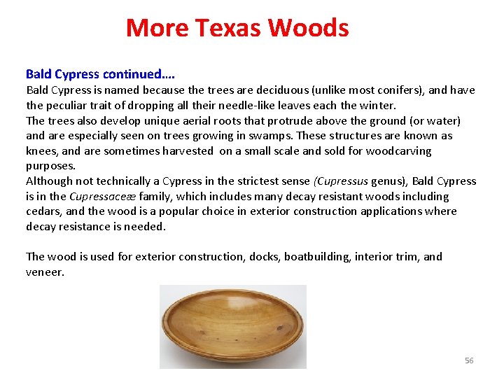 More Texas Woods Bald Cypress continued…. Bald Cypress is named because the trees are