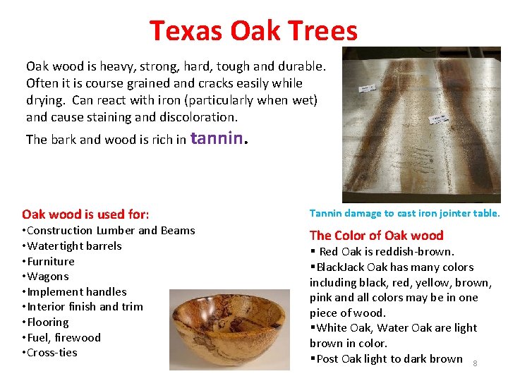 Texas Oak Trees Oak wood is heavy, strong, hard, tough and durable. Often it