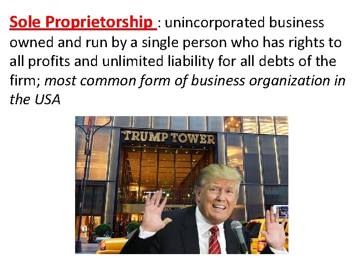 Sole Proprietorship : unincorporated business owned and run by a single person who has