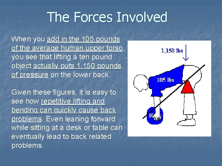 The Forces Involved When you add in the 105 pounds of the average human
