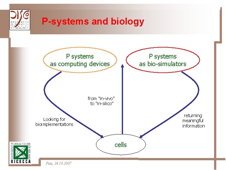 P-systems and biology P systems as computing devices P systems as bio-simulators from “in-vivo”