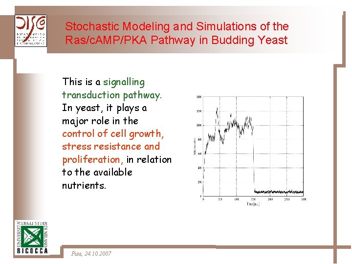 Stochastic Modeling and Simulations of the Ras/c. AMP/PKA Pathway in Budding Yeast This is