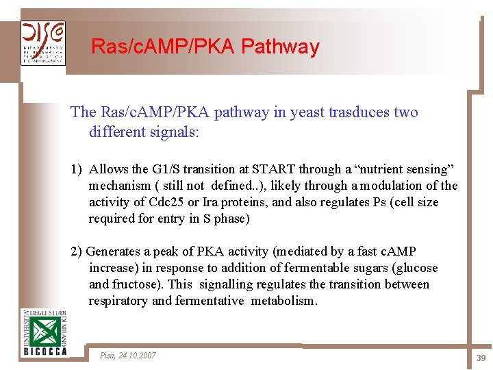 Ras/c. AMP/PKA Pathway The Ras/c. AMP/PKA pathway in yeast trasduces two different signals: 1)