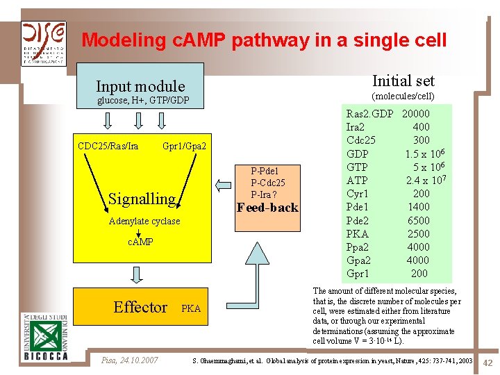 Modeling c. AMP pathway in a single cell Initial set Input module (molecules/cell) glucose,