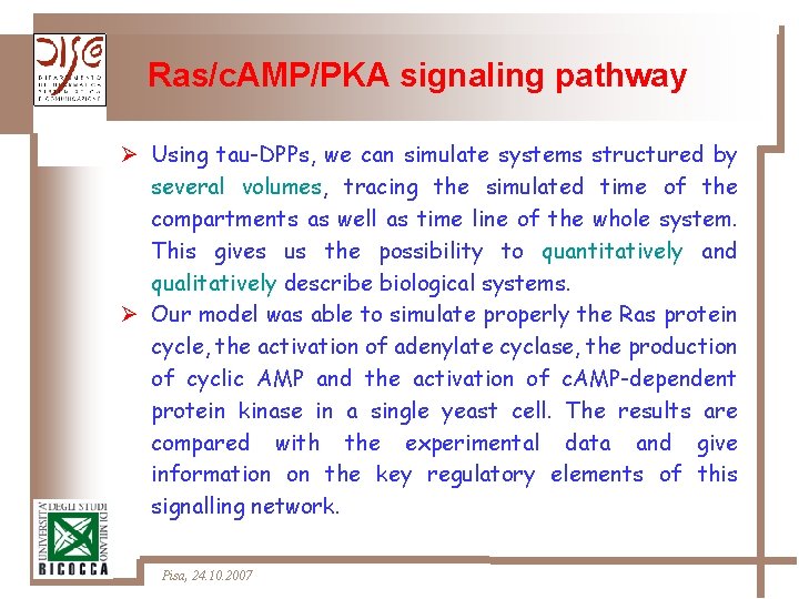 Ras/c. AMP/PKA signaling pathway Ø Using tau-DPPs, we can simulate systems structured by several