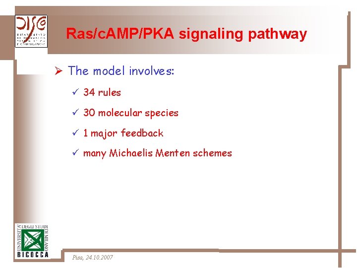 Ras/c. AMP/PKA signaling pathway Ø The model involves: ü 34 rules ü 30 molecular