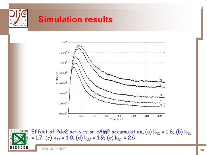 Simulation results Effect of Pde 2 activity on c. AMP accumulation, (a) k 32
