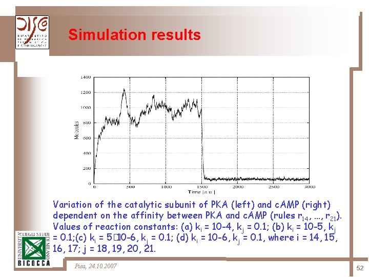 Simulation results Variation of the catalytic subunit of PKA (left) and c. AMP (right)