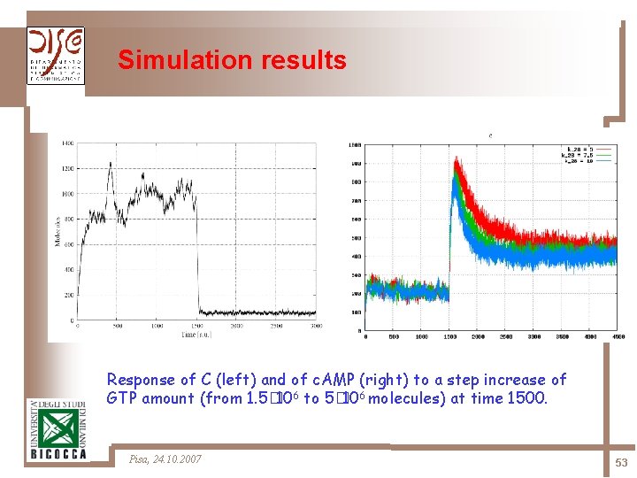Simulation results Response of C (left) and of c. AMP (right) to a step