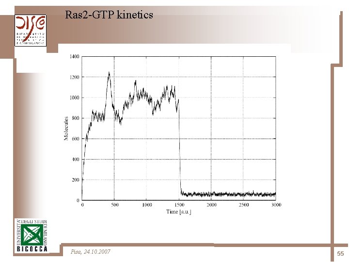 Ras 2 -GTP kinetics Pisa, 24. 10. 2007 55 