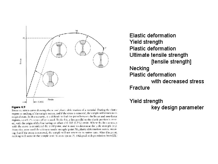 Elastic deformation Yield strength Plastic deformation Ultimate tensile strength [tensile strength] Necking Plastic deformation