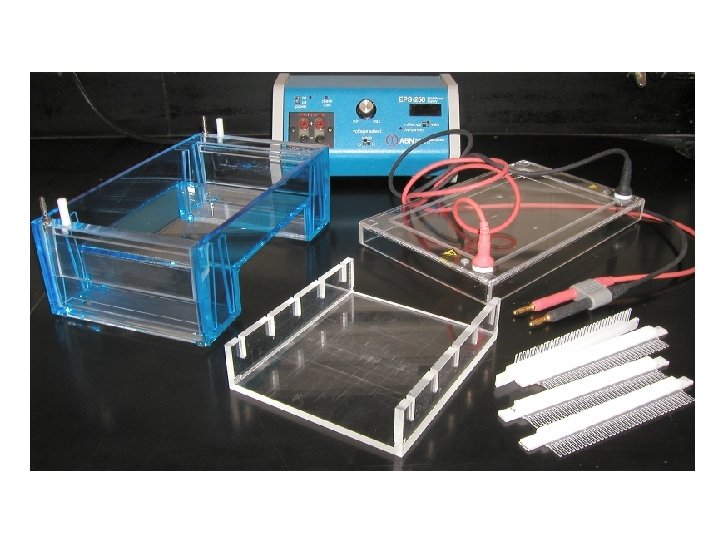 Electrophoresis Equipment 