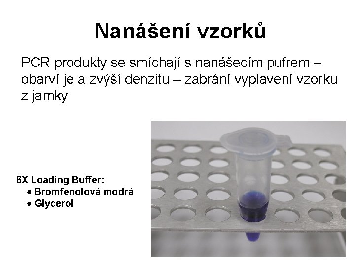 Nanášení vzorků PCR produkty se smíchají s nanášecím pufrem – obarví je a zvýší