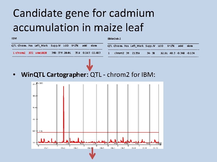 Candidate gene for cadmium accumulation in maize leaf IBM _______________________________ QTL Chrom. Pos Left_Mark