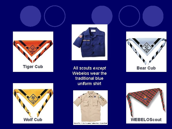 Tiger Cub Wolf Cub All scouts except Webelos wear the traditional blue uniform shirt