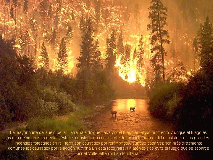 La mayor parte del suelo de la Tierra ha sido quemada por el fuego