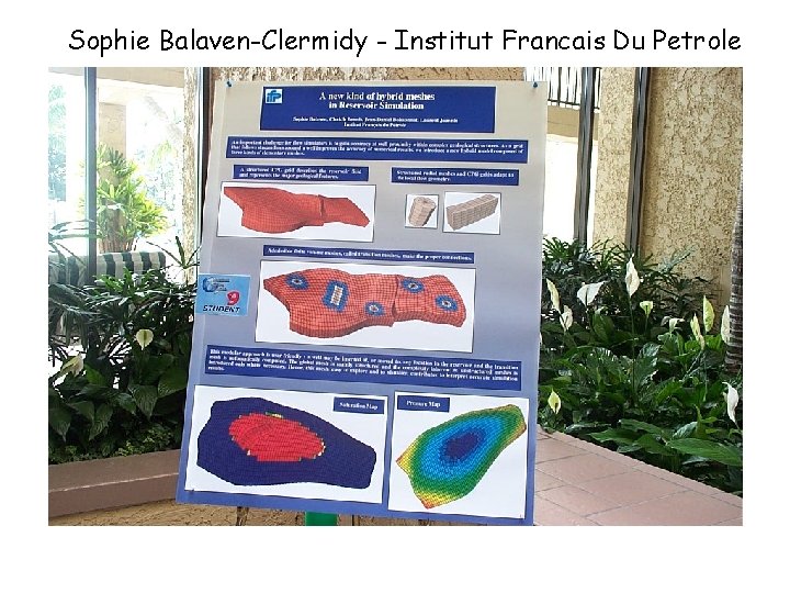 Sophie Balaven-Clermidy - Institut Francais Du Petrole 
