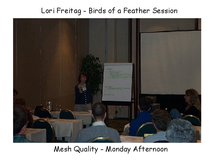 Lori Freitag - Birds of a Feather Session Mesh Quality - Monday Afternoon 