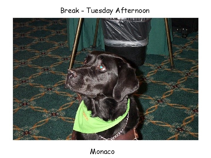 Break - Tuesday Afternoon Monaco 