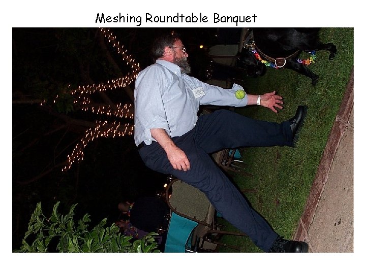 Meshing Roundtable Banquet 