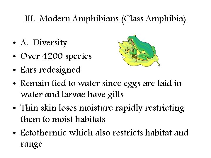 III. Modern Amphibians (Class Amphibia) A. Diversity Over 4200 species Ears redesigned Remain tied