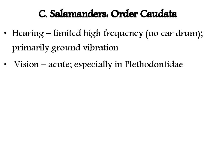 C. Salamanders: Order Caudata • Hearing – limited high frequency (no ear drum); primarily