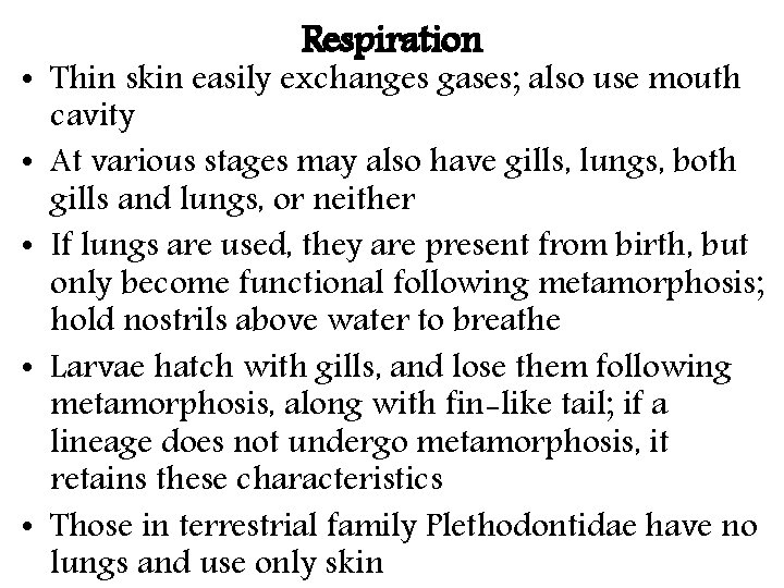 Respiration • Thin skin easily exchanges gases; also use mouth cavity • At various
