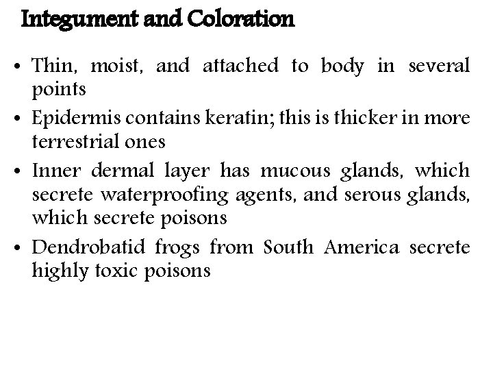 Integument and Coloration • Thin, moist, and attached to body in several points •