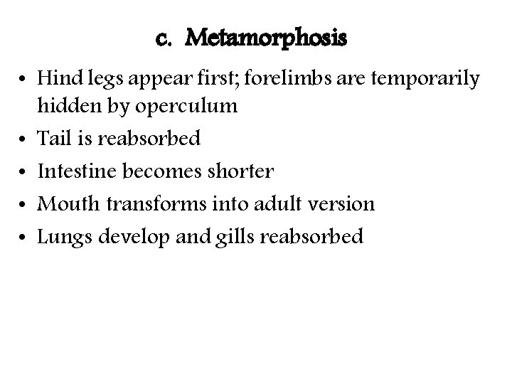 c. Metamorphosis • Hind legs appear first; forelimbs are temporarily hidden by operculum •