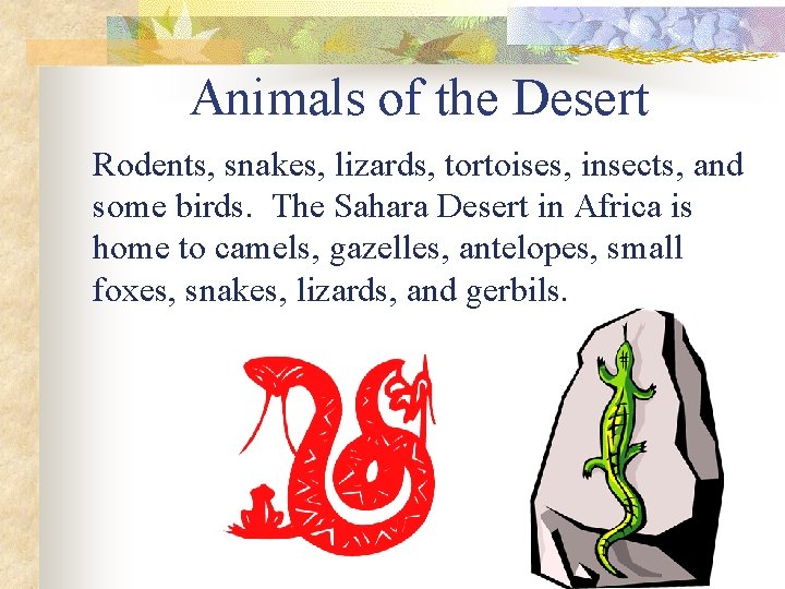 Animals of the Desert Rodents, snakes, lizards, tortoises, insects, and some birds. The Sahara