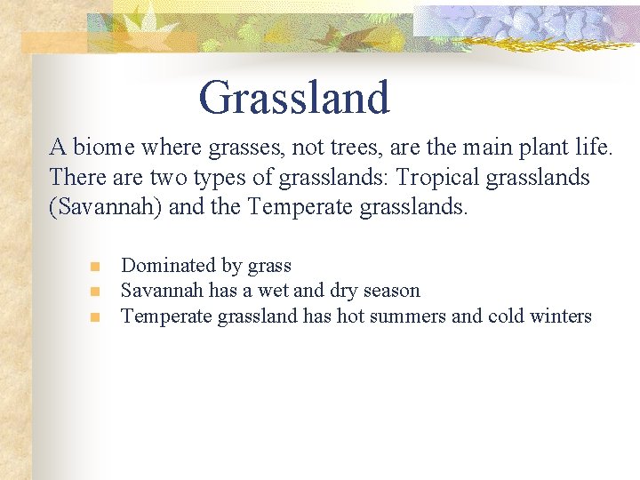 Grassland A biome where grasses, not trees, are the main plant life. There are