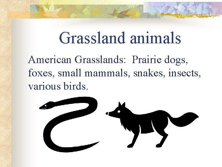 Grassland animals American Grasslands: Prairie dogs, foxes, small mammals, snakes, insects, various birds. 