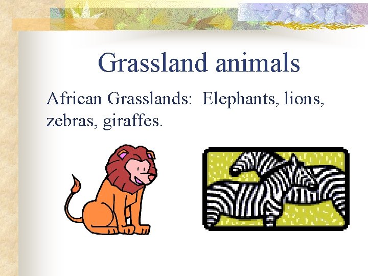 Grassland animals African Grasslands: Elephants, lions, zebras, giraffes. 