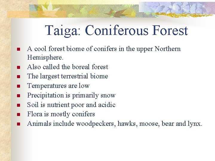 Taiga: Coniferous Forest n n n n A cool forest biome of conifers in