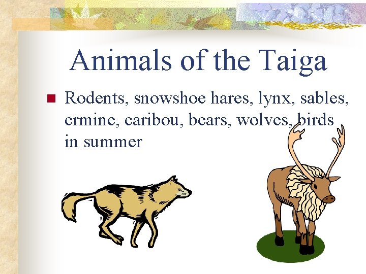 Animals of the Taiga n Rodents, snowshoe hares, lynx, sables, ermine, caribou, bears, wolves,