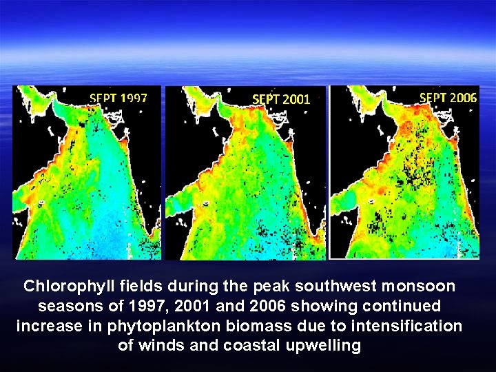 Chlorophyll fields during the peak southwest monsoon seasons of 1997, 2001 and 2006 showing