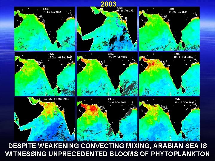 2003 DESPITE WEAKENING CONVECTING MIXING, ARABIAN SEA IS WITNESSING UNPRECEDENTED BLOOMS OF PHYTOPLANKTON 