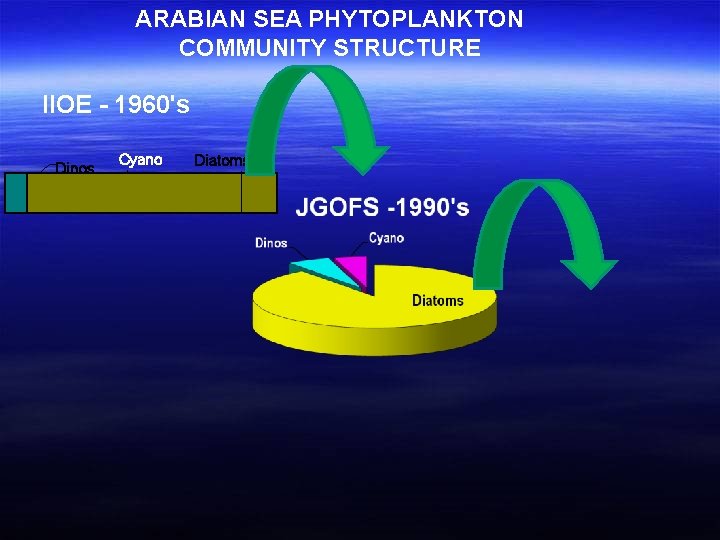 ARABIAN SEA PHYTOPLANKTON COMMUNITY STRUCTURE IIOE - 1960's Dinos Cyano Diatoms 