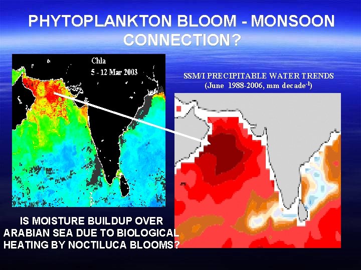 PHYTOPLANKTON BLOOM - MONSOON CONNECTION? SSM/I PRECIPITABLE WATER TRENDS (June 1988 -2006, mm decade-1)