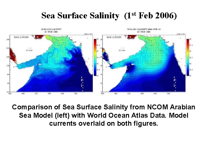 Sea Surface Salinity (1 st Feb 2006) Comparison of Sea Surface Salinity from NCOM
