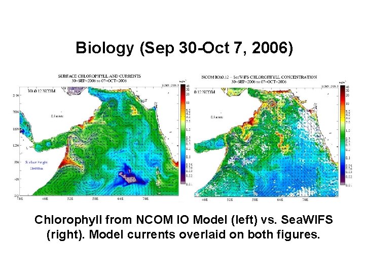 Biology (Sep 30 -Oct 7, 2006) Chlorophyll from NCOM IO Model (left) vs. Sea.