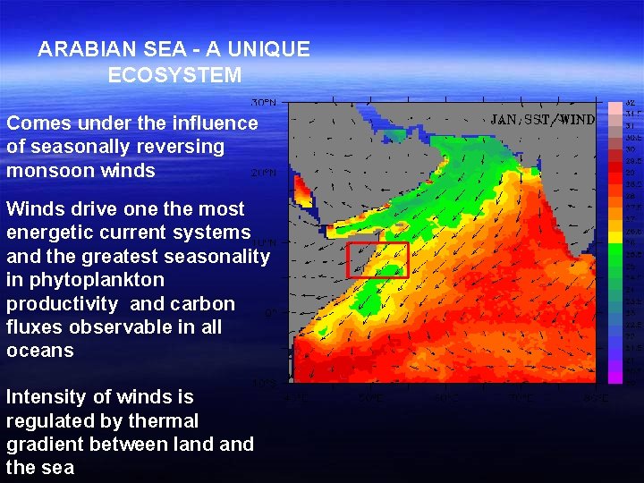 ARABIAN SEA - A UNIQUE ECOSYSTEM Comes under the influence of seasonally reversing monsoon