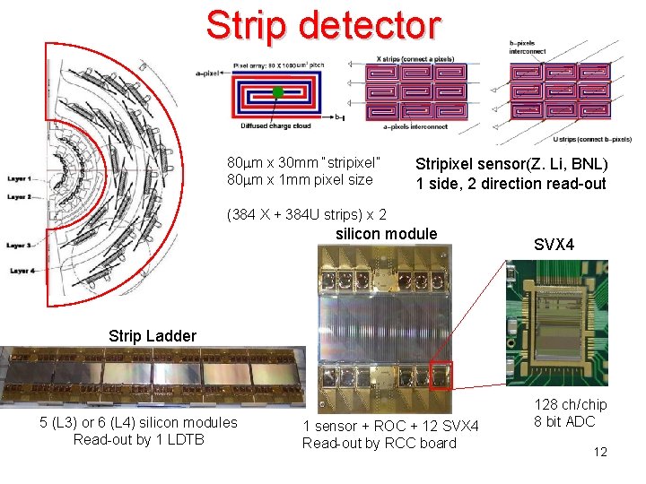 Strip detector 80 mm x 30 mm “stripixel” 80 mm x 1 mm pixel